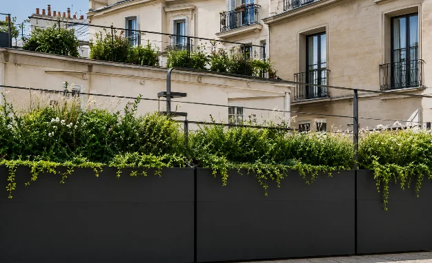 Façade parisienne avec garde-corps végétalisés